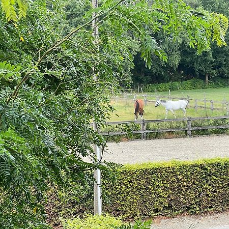 B&B Het Welthof Bree Bagian luar foto