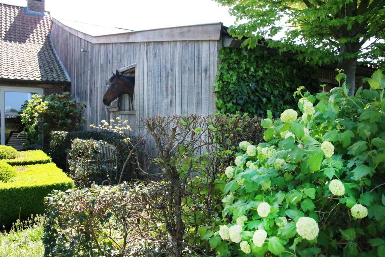 B&B Het Welthof Bree Bagian luar foto