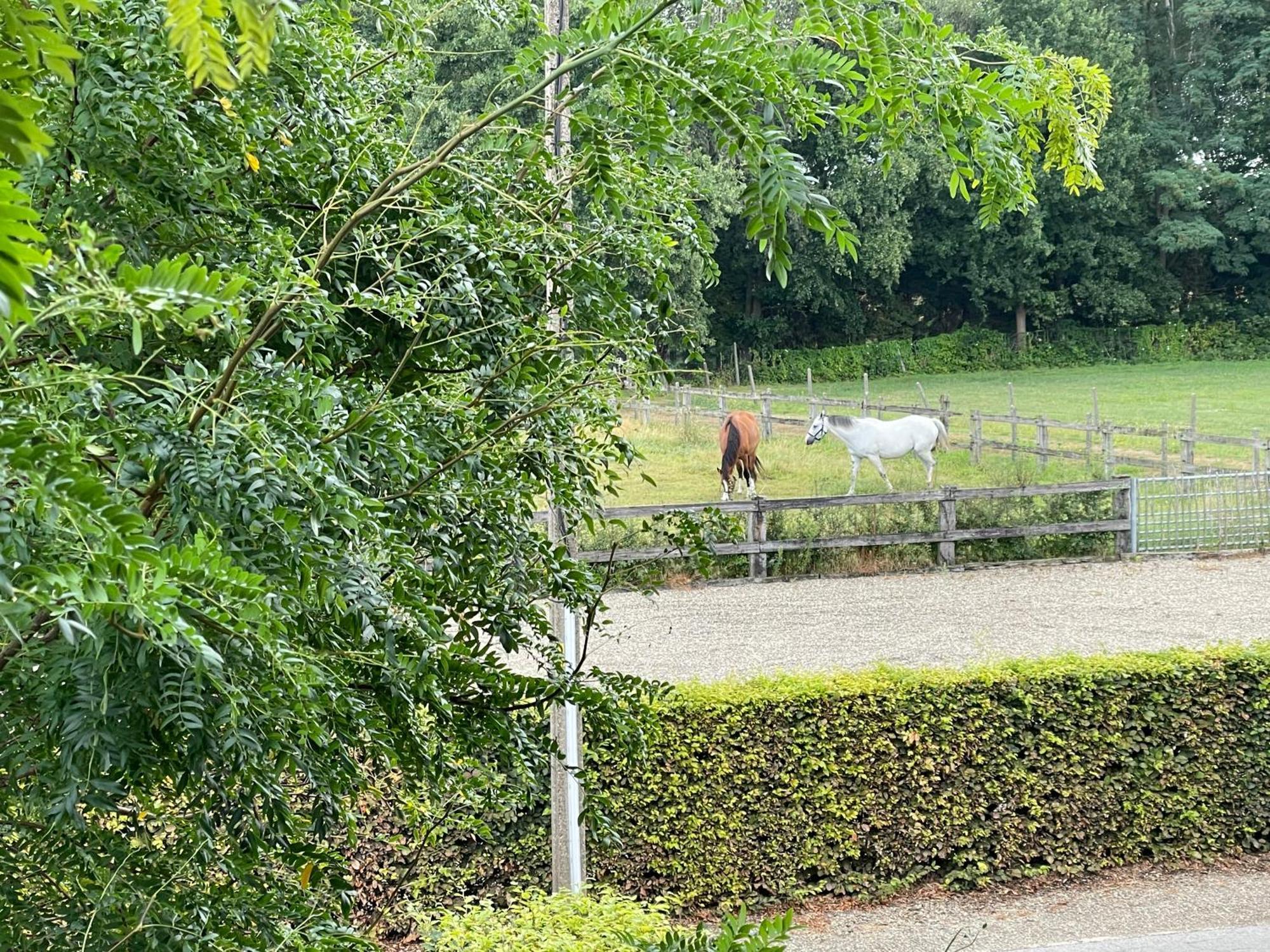 B&B Het Welthof Bree Bagian luar foto