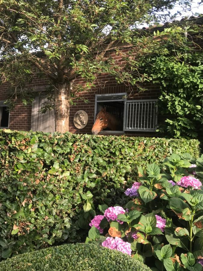 B&B Het Welthof Bree Bagian luar foto