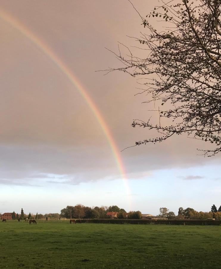 B&B Het Welthof Bree Bagian luar foto